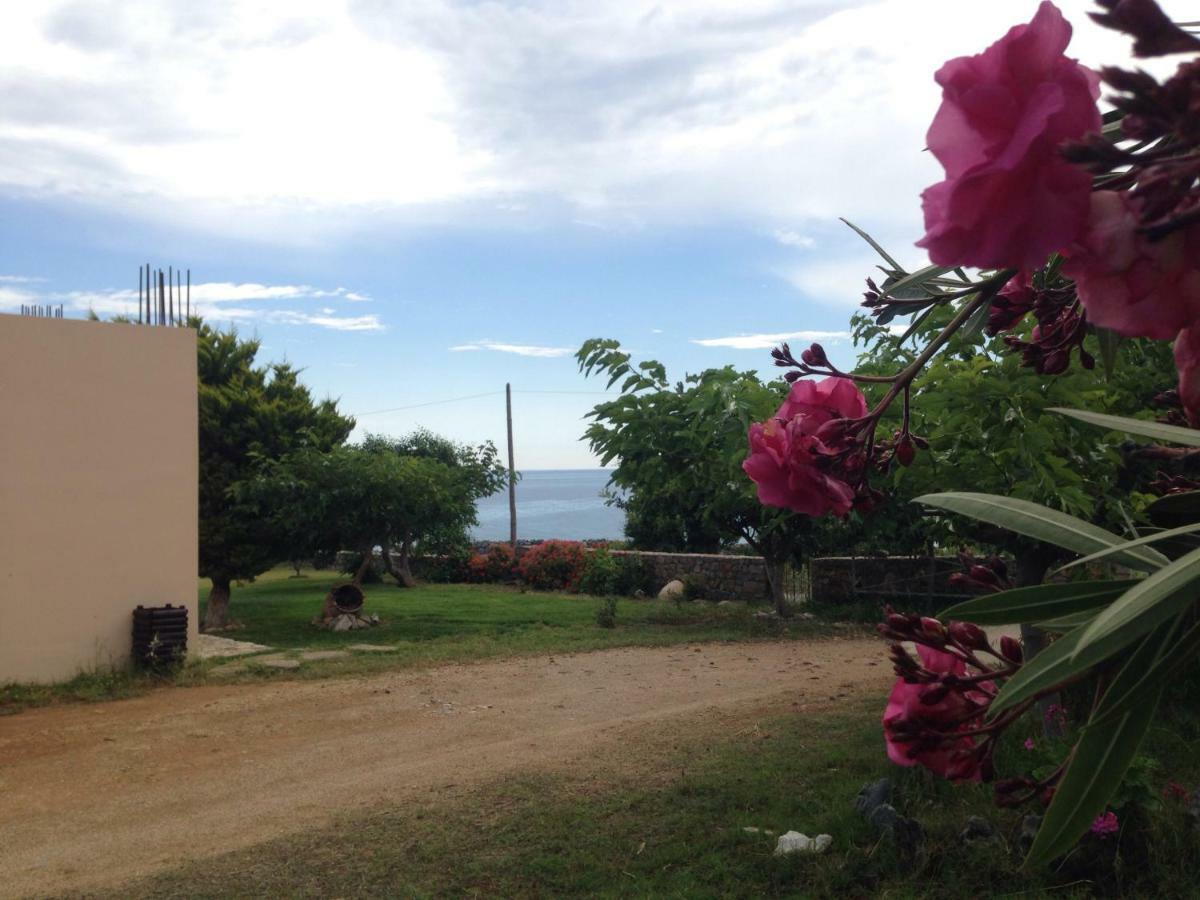 Kioni Villas Holiday home *