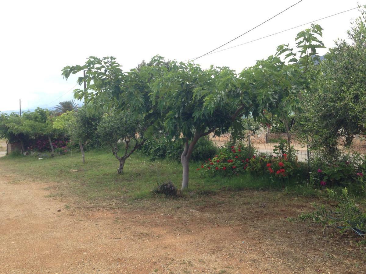 Tatil Evi Kioni