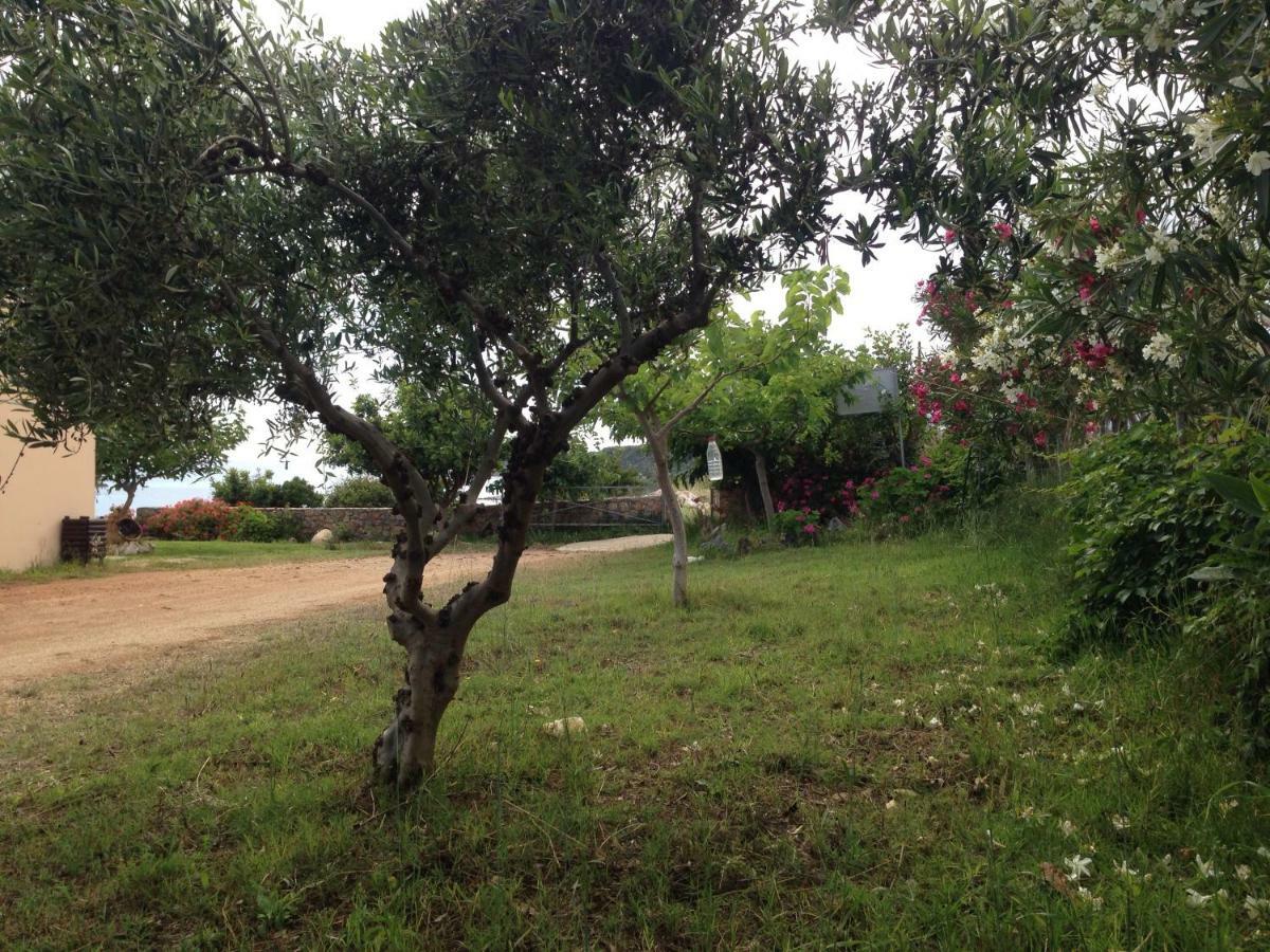 Kioni Tatil Evi *